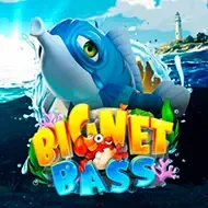 Big Net BassAdvantplay